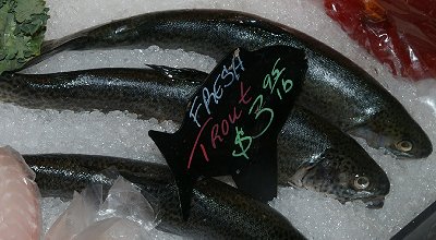 Fresh trout from Northern Fish in Tacoma, Washington.